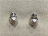 Orecchini Salvini Donna in Oro bianco Perla 0.09 Ct 80426706 - 80426706